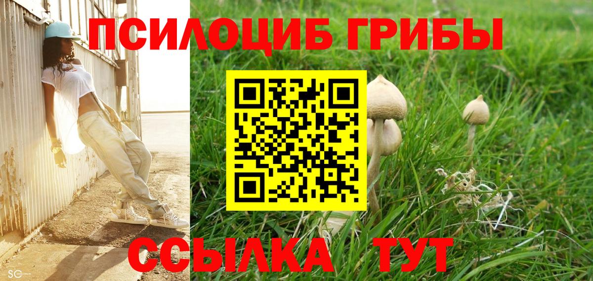 Псилоцибиновые грибы ЛСД Балашов